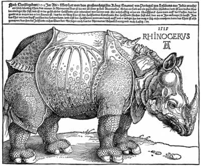 A.Durer rinoceronte