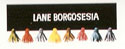 Lane Borgosesia